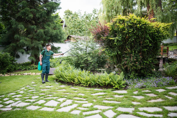 Best Residential Pest Control  in Green, OR