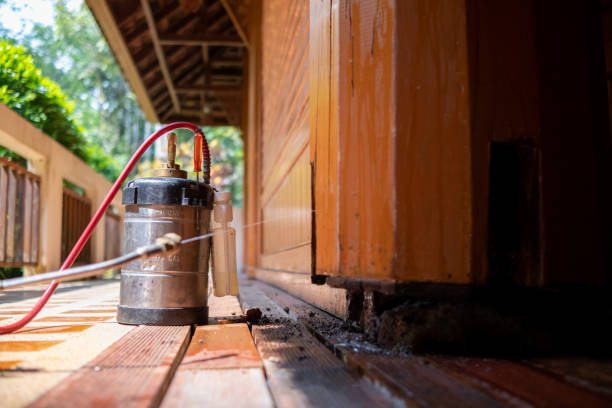 Best Exterminator Services  in Green, OR