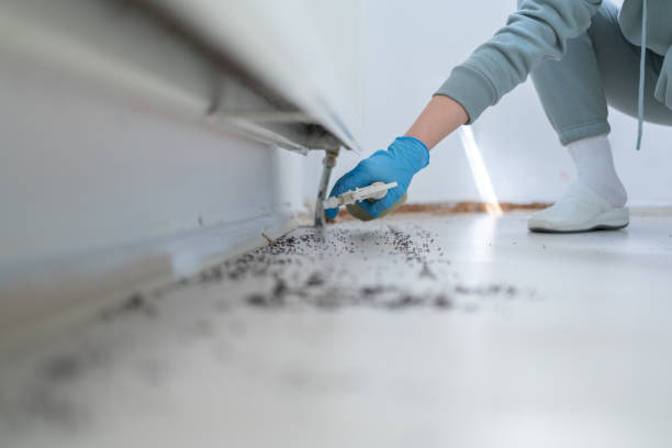 Professional Pest Control in Green, OR